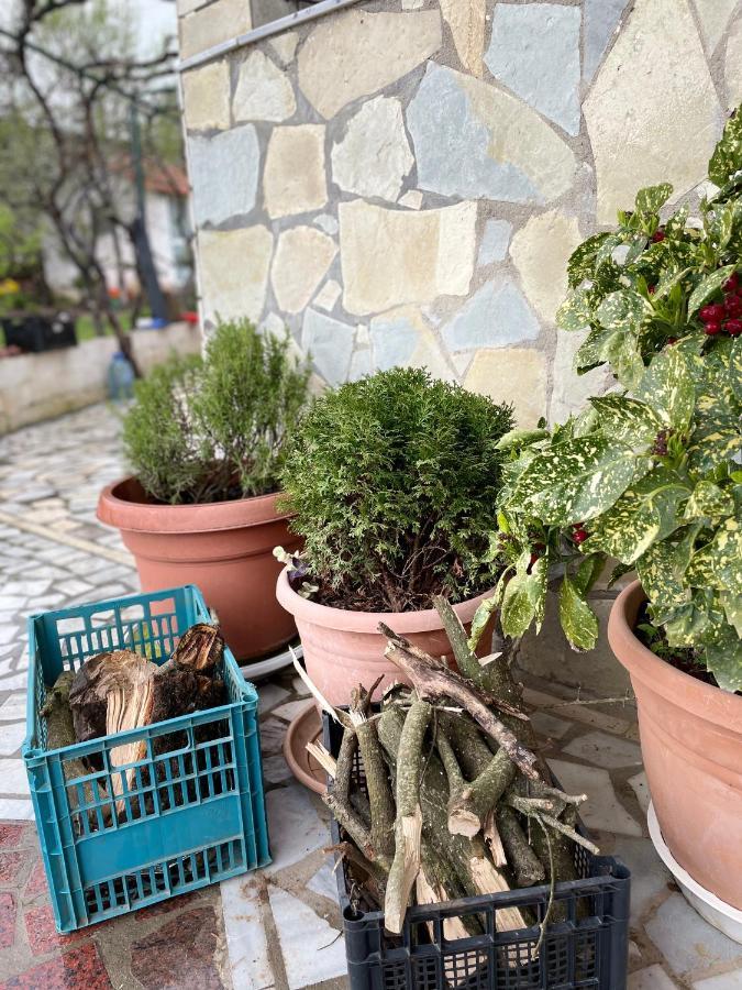 Kasaj Villa Gjirokastër Exteriér fotografie