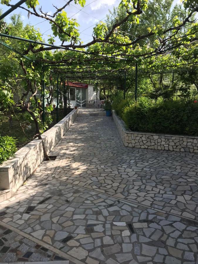 Kasaj Villa Gjirokastër Exteriér fotografie