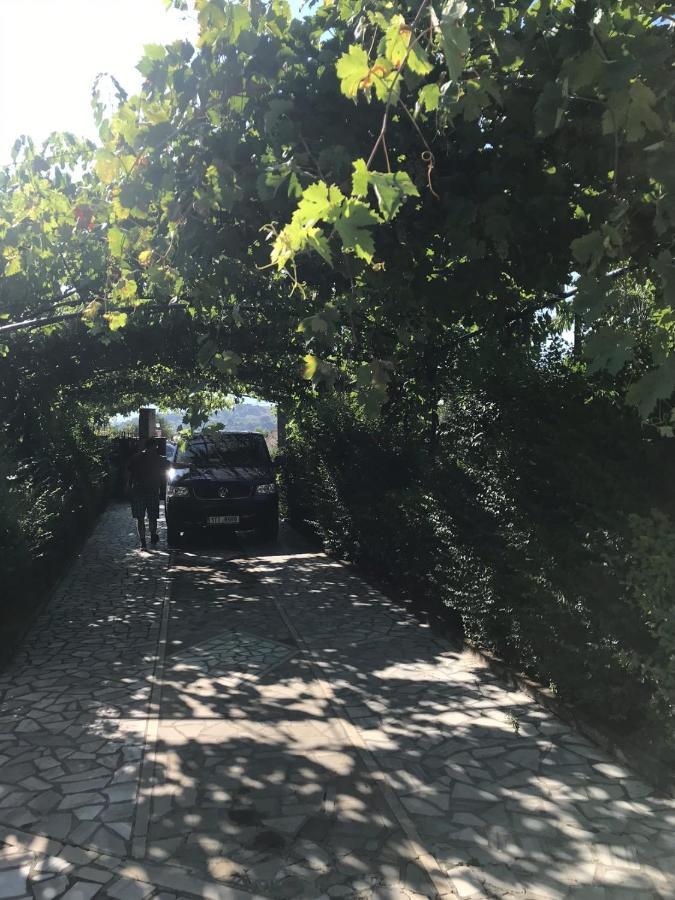 Kasaj Villa Gjirokastër Exteriér fotografie